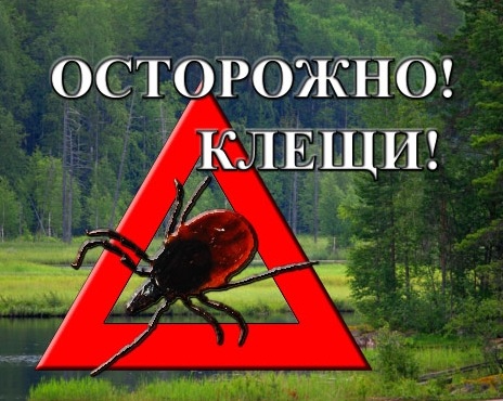 Барун и саная свежие новости