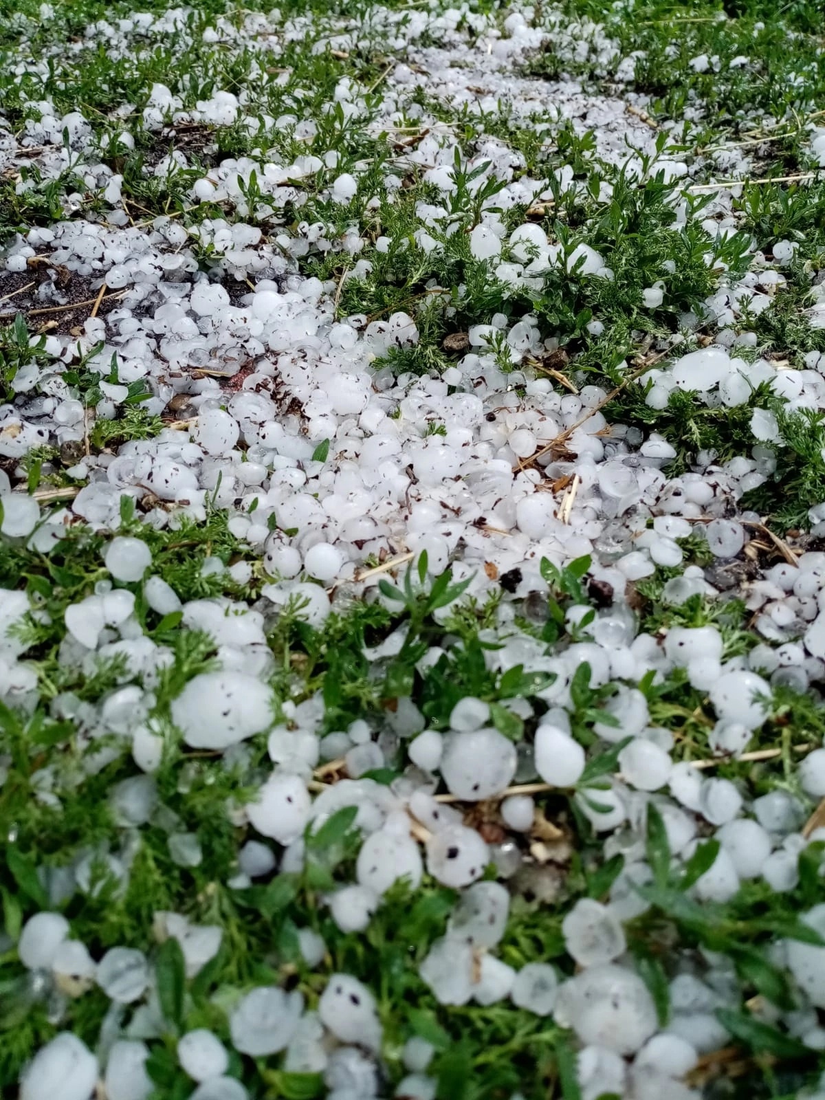 В Пермском крае прошёл град | 04.06.2023 | Пермь - БезФормата