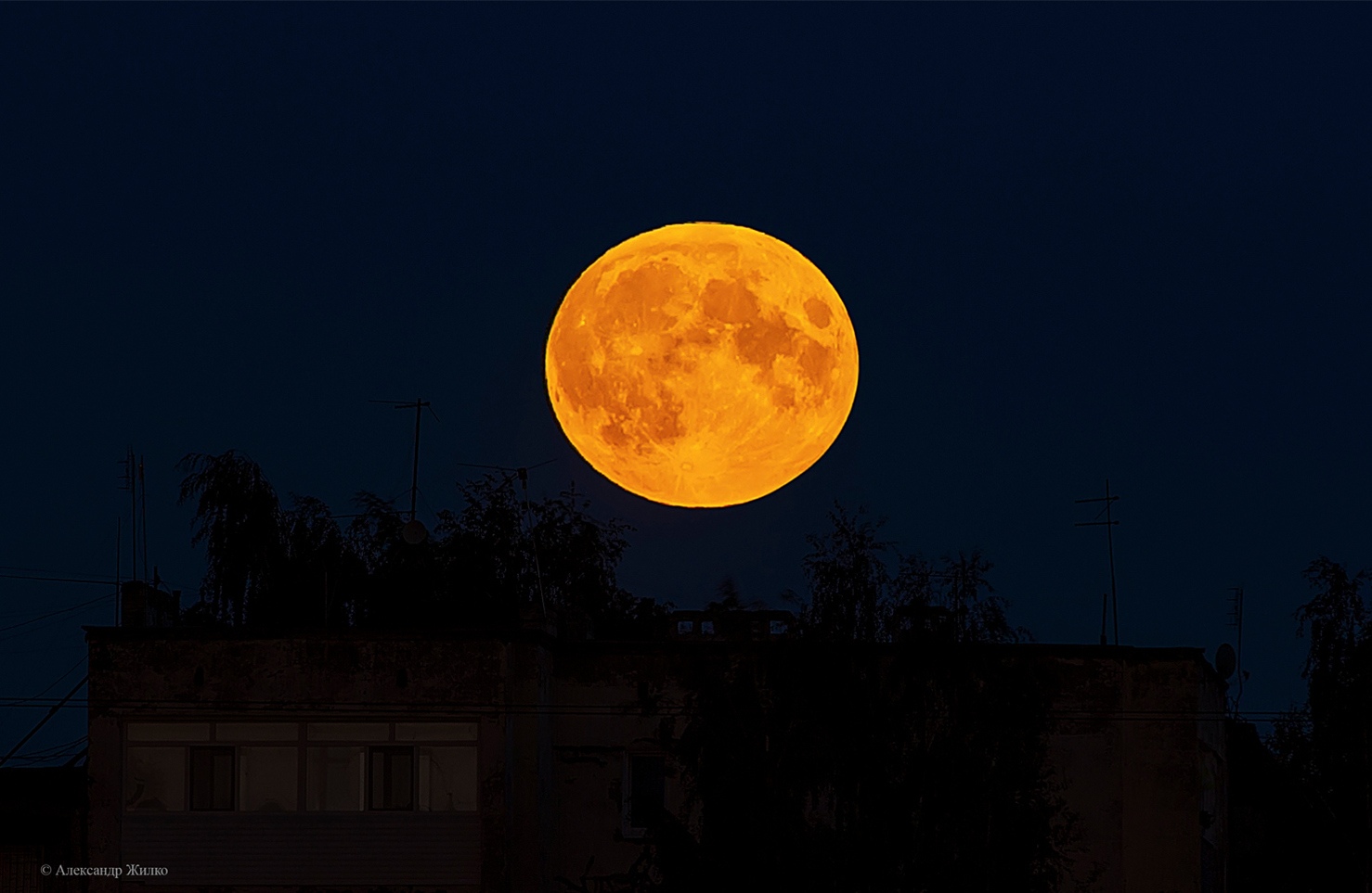 Большая оранжевая луна. Оранжевая Луна. Желтая Луна. Яркая Луна. Рыжая Луна.