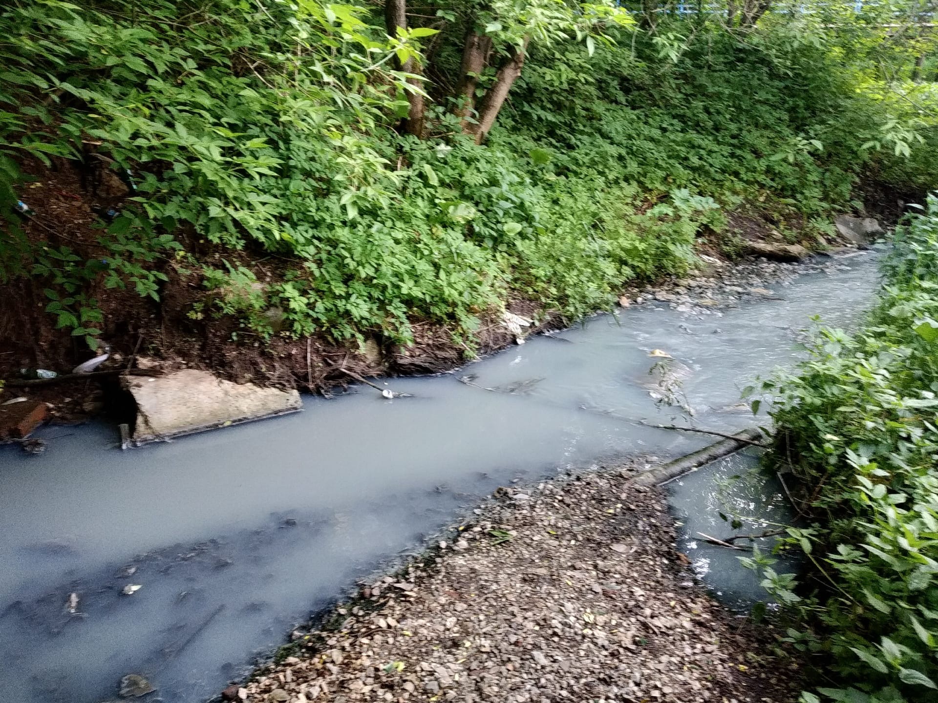 Вода цвета парного молока и затхлый запах»: пермяков беспокоит состояние  реки Данилихи | НОВОСТИ ПЕРМИ | МОЙ ГОРОД - ПЕРМЬ! — Новости Перми