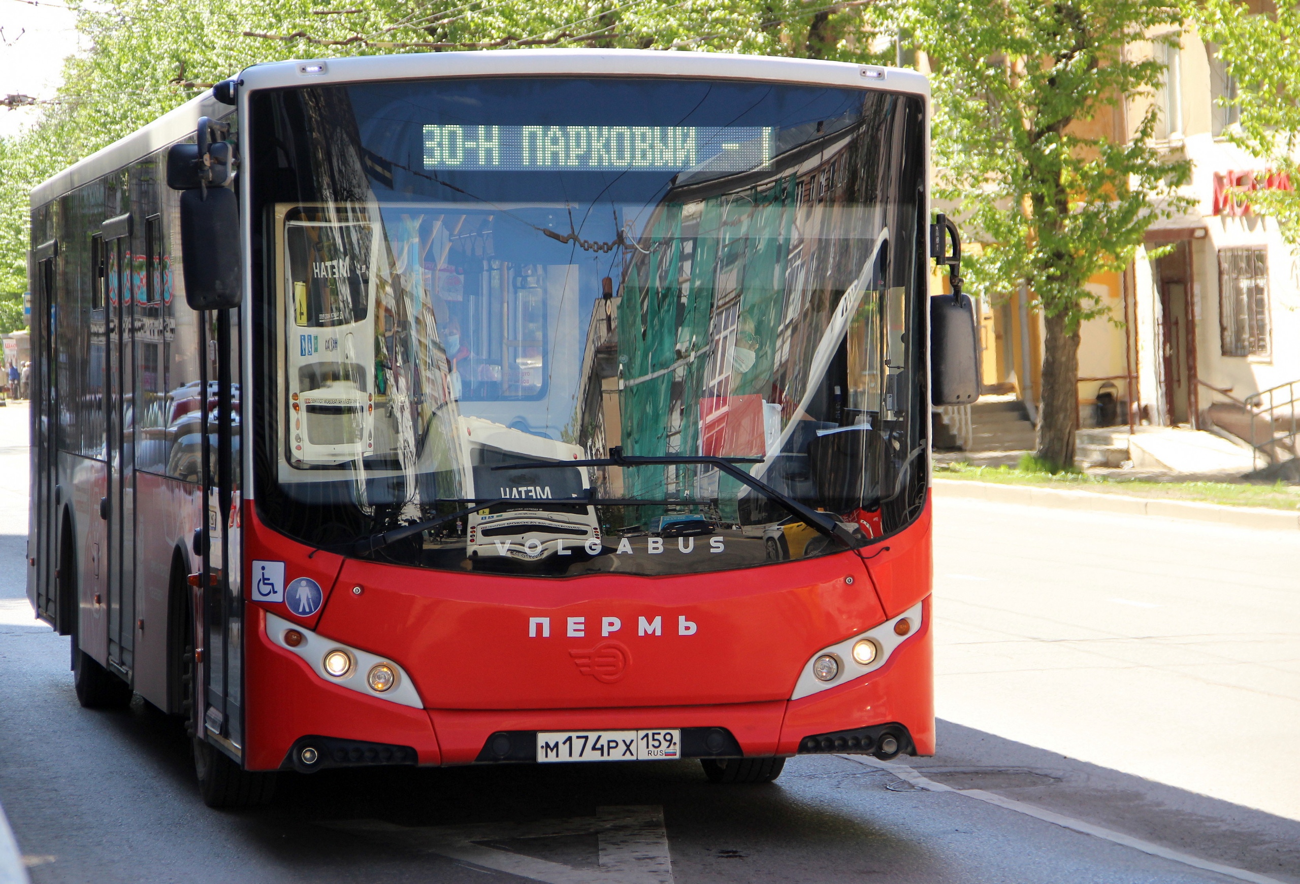 Общественный транспорт перми автобусы. Пермский городской транспорт. Новые автобусы в Перми. Автотранспорт Пермь. Новый транспорт в Перми.