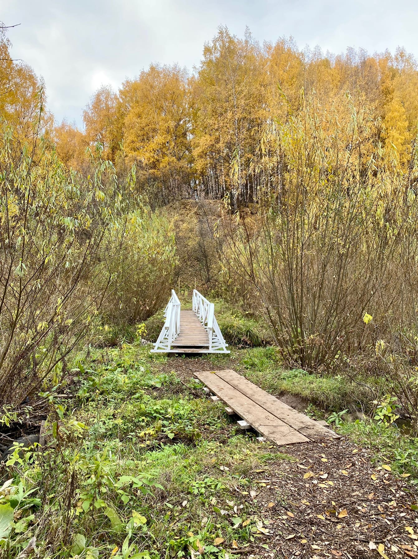 Малая пермь. Река Полуденка Пермь. Зеленые реки в Перми. Вдоль реки в подмосковном. Малая Ононская тропа маршрут.