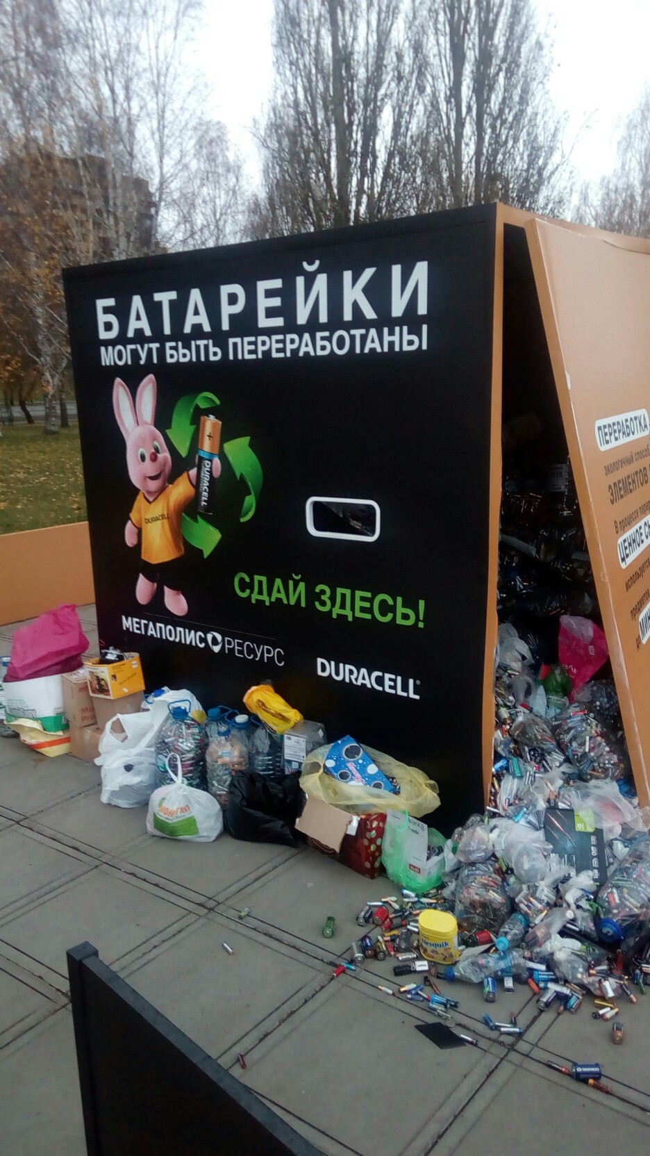 Рыбалка в краснодаре в камышах Рыбалка в краснодаре в камышах