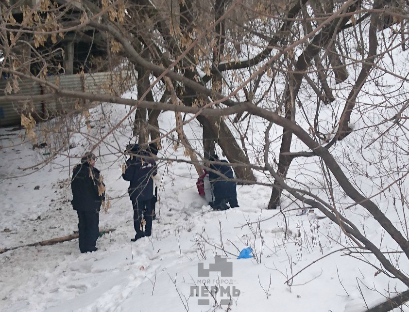 Повешенные подростки. Висельник в зимнем лесу.