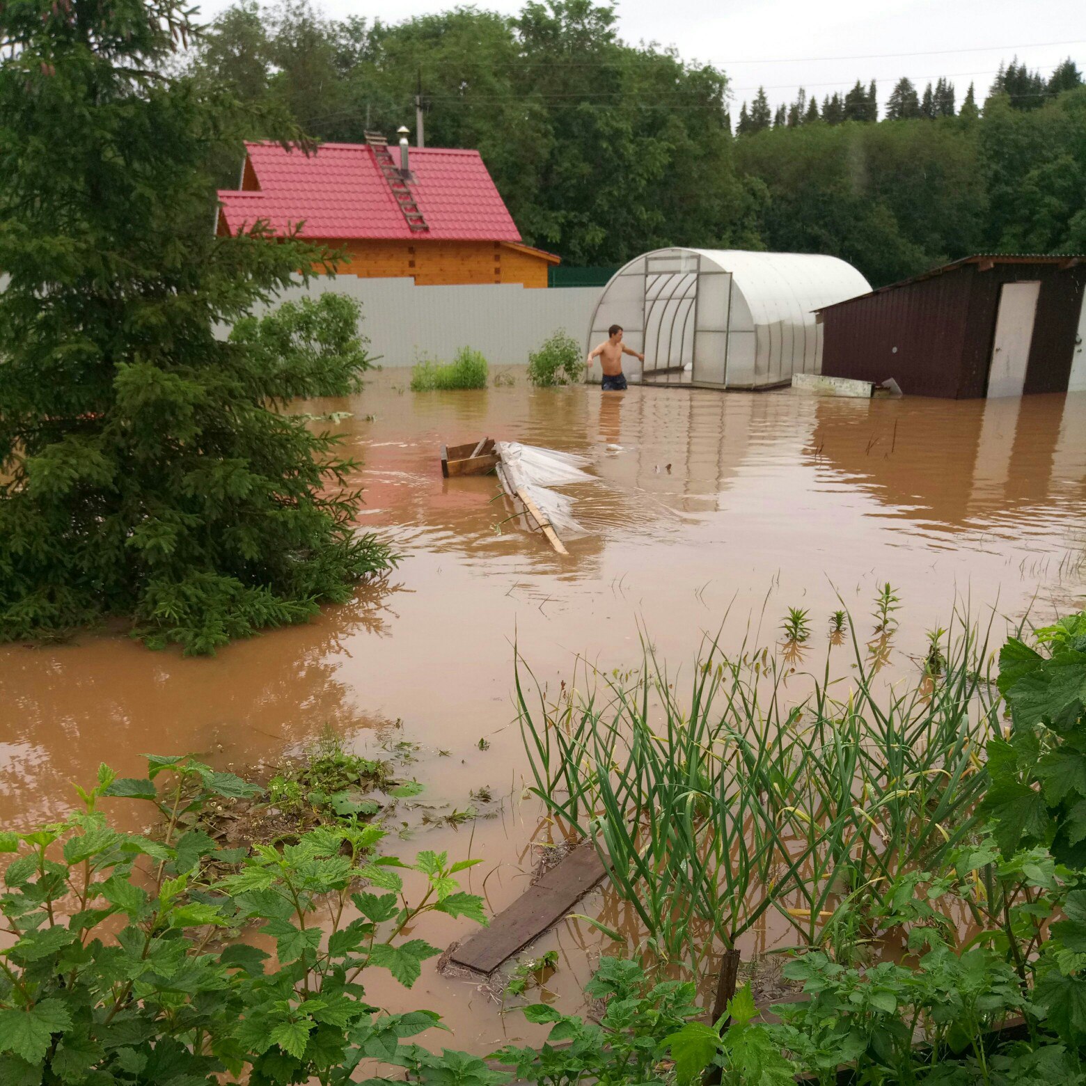 Погода в янычах пермского